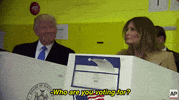 Voting Donald Trump GIF by Election 2016