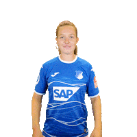 Swipe Up Sticker by TSG Hoffenheim