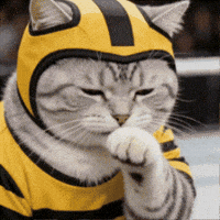 Martial Arts Fight GIF