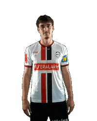 Forst Admira Sticker by KSV1919