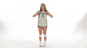 Huntington University Volleyball GIF by FDN Sports