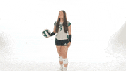 Huntington University Volleyball GIF by FDN Sports