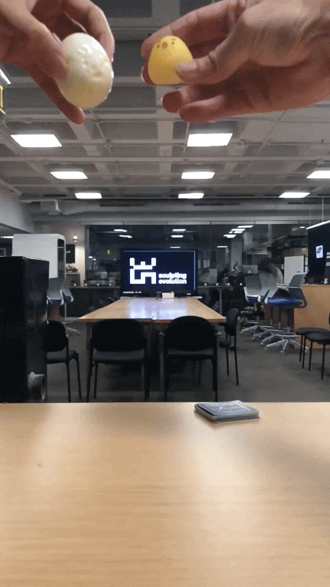 science chicken breakfast egg impact GIF