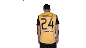 MeyrinFC mfc fabrizio jaunenoir meyrinfc Sticker