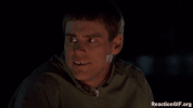 GIF by Giphy QA