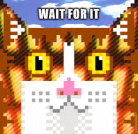Cat Thank You GIF by PEEKASSO