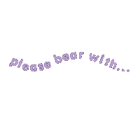 Sorry Excuse Me Sticker by please bear with