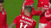 sl benfica hug GIF by Sport Lisboa e Benfica