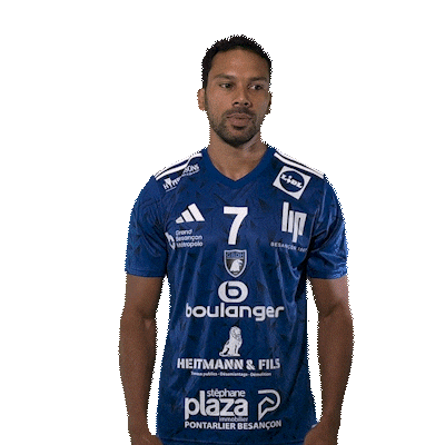 Happy Hand Sticker by GRAND BESANÇON DOUBS HANDBALL
