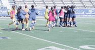 NevadaWolfPack soccer wolfpack nevada ncaasoccer GIF
