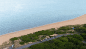 Travel Beach GIF by MasterChefAU