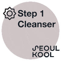 Korean Skincare Sticker by Seoul Kool
