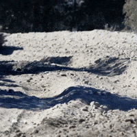 Ford GIF by FIA World Rally Championship