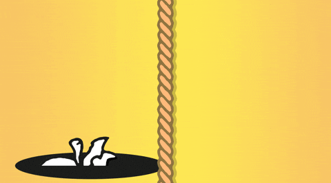 Apple Pirate GIF by SUPRAM