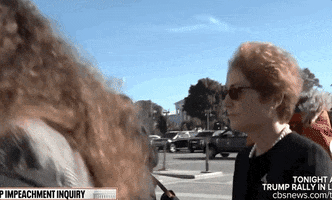 marie yovanovitch GIF