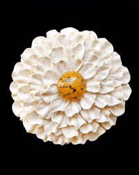 Flower Paris GIF by Cedric Grolet