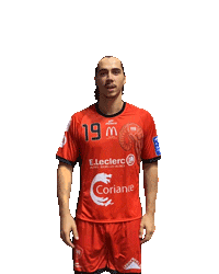 ValenceHandball handball match proligue valence Sticker