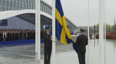 Video gif. Two officers of the Försvarsmakten, the Swedish Armed Forces, raise the flag of Sweden, cerulean blue with a yellow cross, at NATO headquarters. 