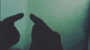 mirror love GIF by Barbara Pozzi