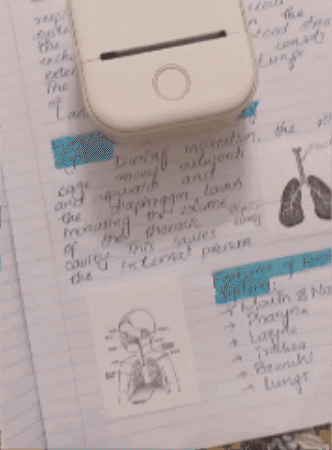 gif100010001000 giphygifmaker GIF