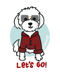 Lets Go Sonny Sticker