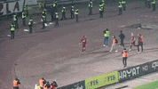 Mersudin GIF by fksarajevo