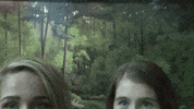 Cnwg19 GIF by Carson-Newman Athletics