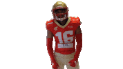 American Football Nfl Sticker by Les Argonautes Aix