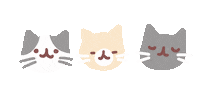 Cat Sticker