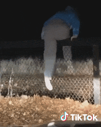 Friday Vibe GIF by TikTok France