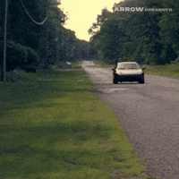 Film Horror GIF by Arrow Video