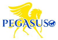 Team Cheerleader Sticker by Mustang Cheer