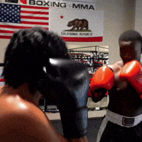 Fight Knockout GIF