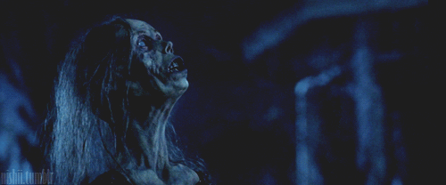 land of the dead zombie GIF