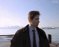 x files GIF by The X-Files