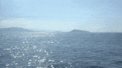 Vintage Video GIF by jorgemariozuleta