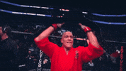 Ufc 217 Mma GIF by UFC
