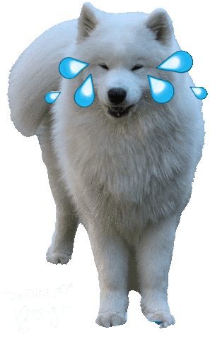 Laugh Laughing Sticker