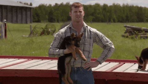 confused dogs GIF by CraveTV