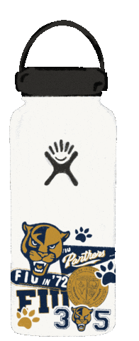 Water Gold Sticker by Florida International University