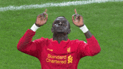 lfc GIF by Liverpool FC