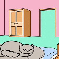 Cat Animation GIF by KETNIPZ