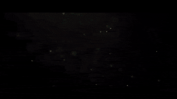 Dollar Bill Drugs GIF by The Lumineers