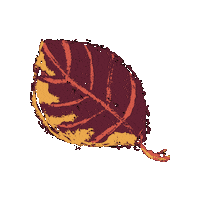 KioreDesign autumn leaf list podzim Sticker