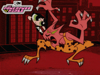 Powerpuff Girls Cat GIF by Cartoon Network