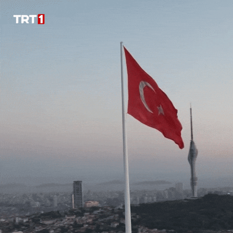Turkey Turkish GIF by TRT