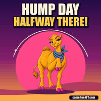 Wednesday Celebrate GIF by CamelToe