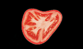 TASTE_AGENCIA tomato tomate tasteagencia GIF