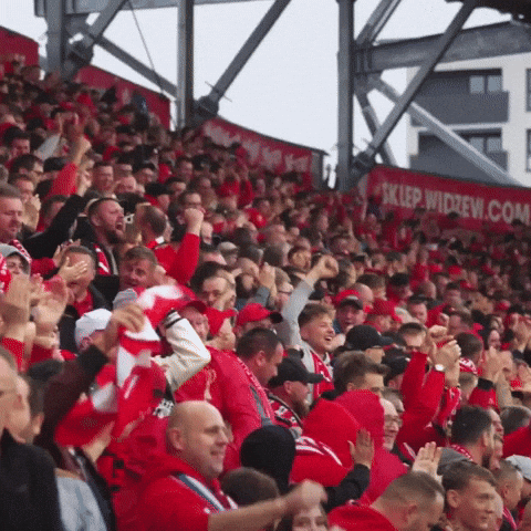 Football Soccer GIF by Widzew Łódź