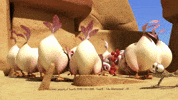 OscarOasis chicken desert quiet oscar GIF